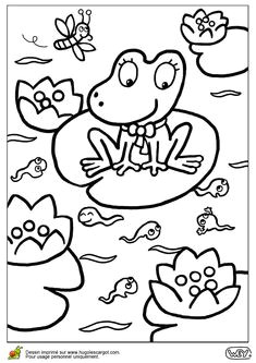 Coloriage Frog Et Fou Furet Les 13 Meilleures Images De Coloriage