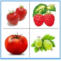 Coloriage Fruits Et Légumes Maternelle Pdf 25 Meilleures Images Du Tableau Fruits&légumes