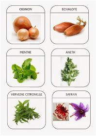 Coloriage Fruits Et Légumes Maternelle Pdf 25 Meilleures Images Du Tableau Fruits&légumes