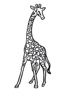 Coloriage Girafe à Imprimer Coloriage Girafe Animaux De La Jungle