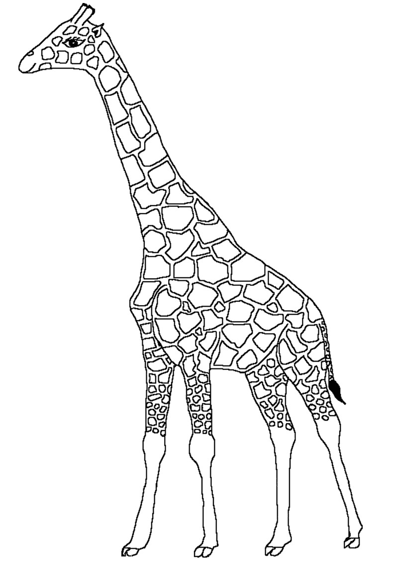 Coloriage Girafe à Imprimer Coloriage Tigre Mandala Coloriage De Girafe A Imprimer