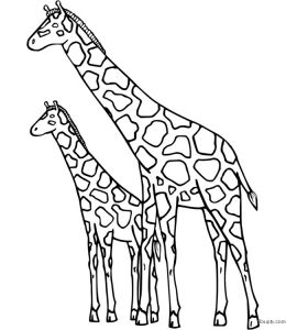 Coloriage Girafe à Imprimer Girafe Imprimer Le Coloriage De Girafe