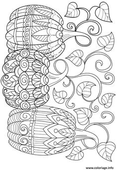 Coloriage Gratuit à Imprimer Citrouille Citrouille Potiron Pumpkin