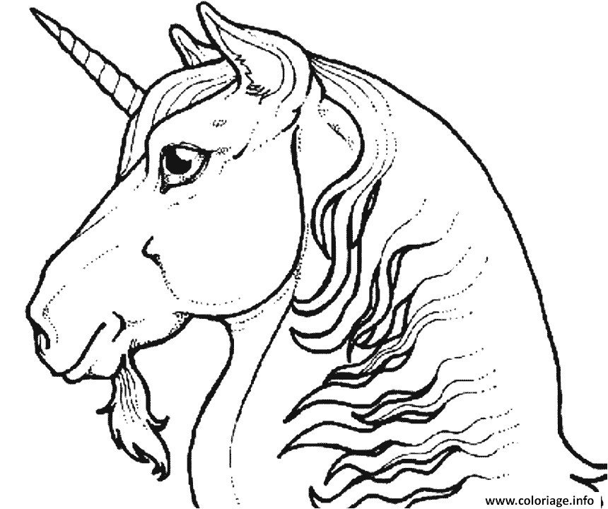Coloriage Gratuit à Imprimer Licorne Ment Dessiner Une Licorne Dessein De Dessin Avec Coloriage Gratuit à Imprimer Licorne Ment Dessiner Une Licorne Dessein De Dessin Avec