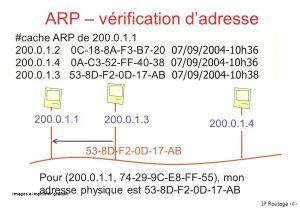 Coloriage Gratuit à Imprimer One Piece Coloriage E Piece Frais Dessins Colorier Gratuit 100