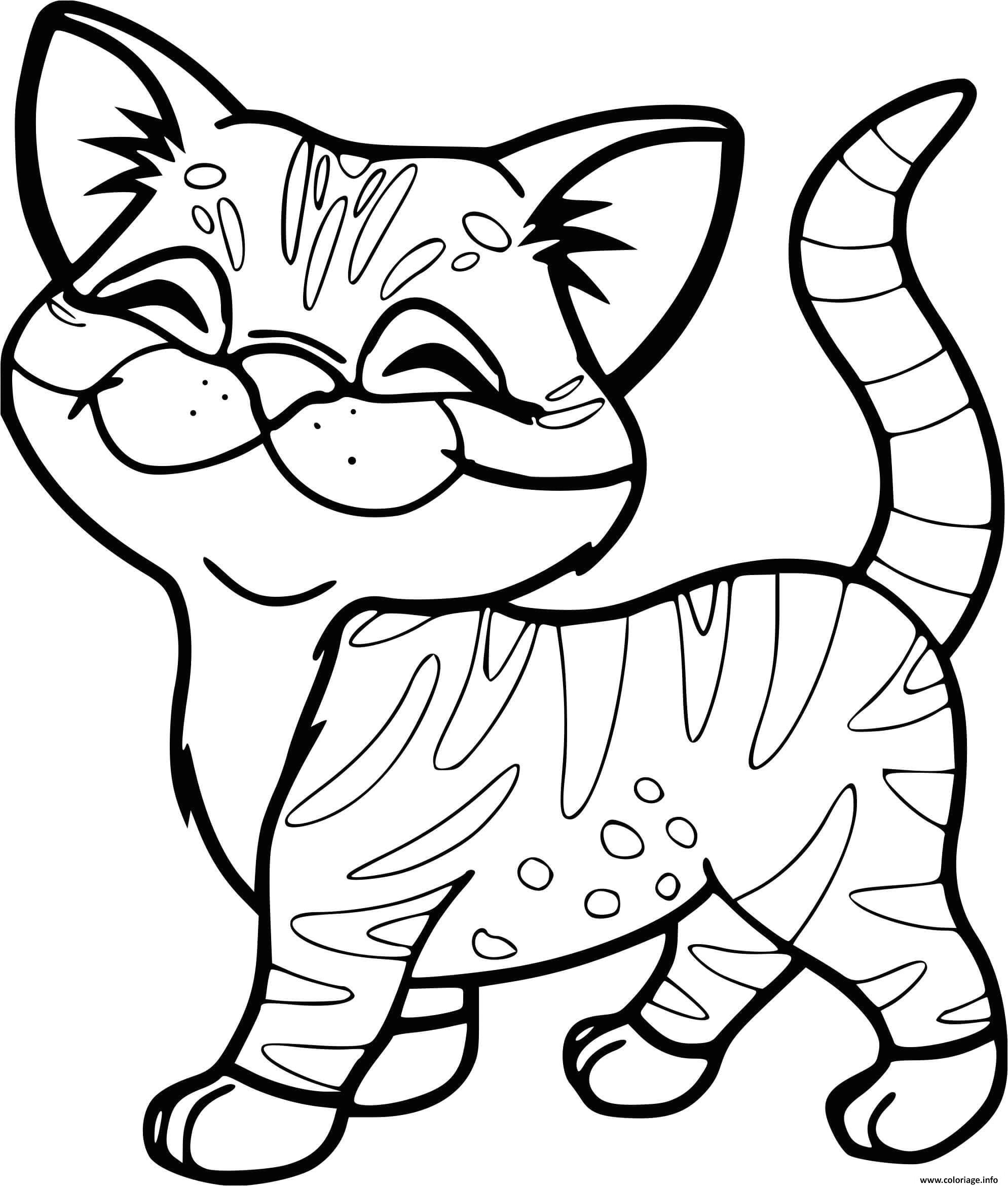 Coloriage Gratuit A Imprimer Pet Shop Coloriage Chaton Mignon Rayure De Tigre Jecolorie