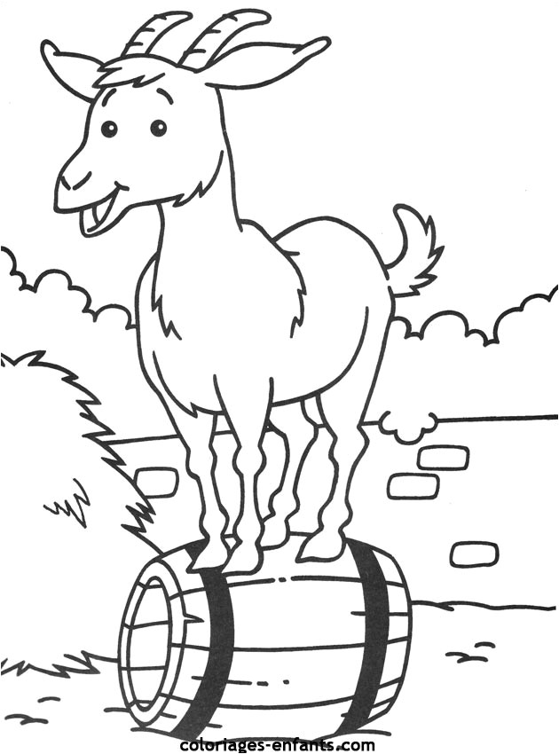 Coloriage Gratuit D Animaux Coloriage De Divers Animaux Sur Coloriages Enfants Coloriage Gratuit D Animaux Coloriage De Divers Animaux Sur Coloriages Enfants