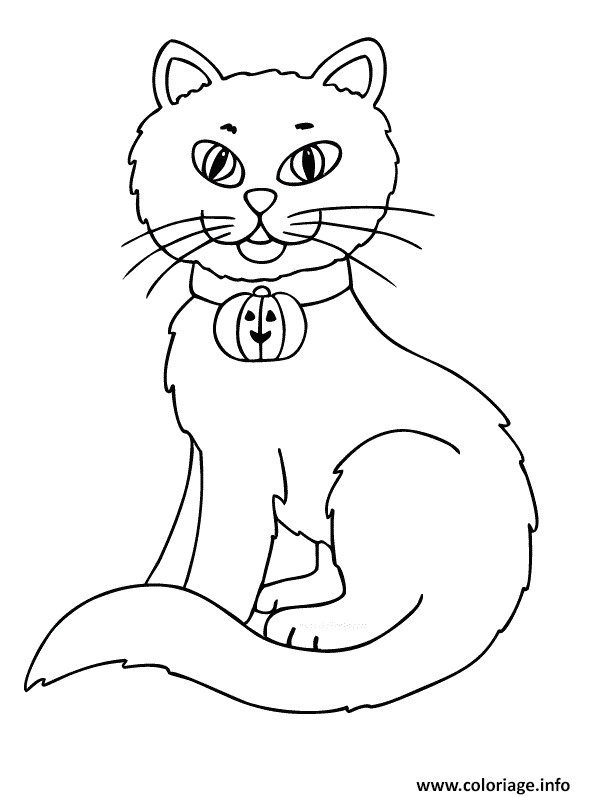 Coloriage Gratuit D Animaux Jeux De Coloriage Animaux Gratuit Coloriage Gratuit D Animaux Jeux De Coloriage Animaux Gratuit