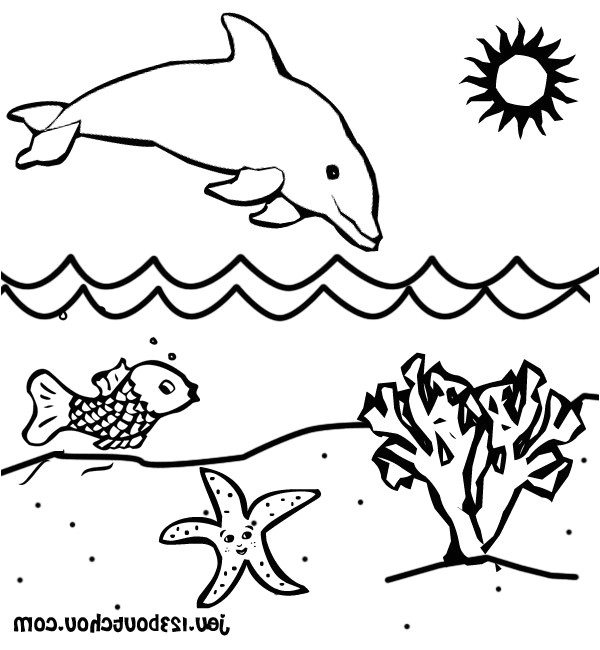 Coloriage Gratuit De Dauphin Coloriage Dauphin  Imprimer Gratuit – Teenzstore