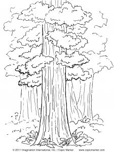 Coloriage Gratuit De Paysage Coloriage