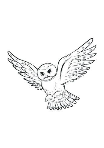 Coloriage Harry Potter Gryffondor Pin Auf Ð¥Ð¾Ð³Ð²Ð°ÑÑÑ