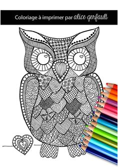 Coloriage Hiboux A Imprimer â Mes Pages De Coloriage
