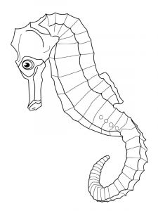 Coloriage Hippocampe A Imprimer Hippocampe 4 Animaux – Coloriages à Imprimer