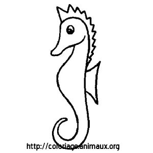 Coloriage Hippocampe A Imprimer Hippocampe Et Pics Coloriage Hippocampe Et Pics Sur