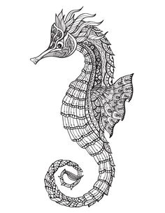 Coloriage Hippocampe à Imprimer Les 199 Meilleures Images De Coloriage D Animaux Animal