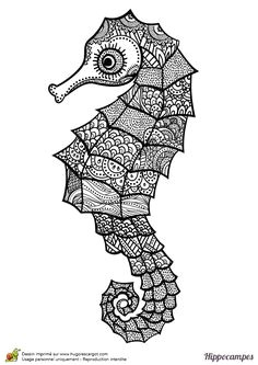 Coloriage Hippocampe à Imprimer Mandala Cp