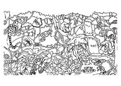 Coloriage Jungle à Imprimer 77 Meilleures Images Du Tableau Coloriages