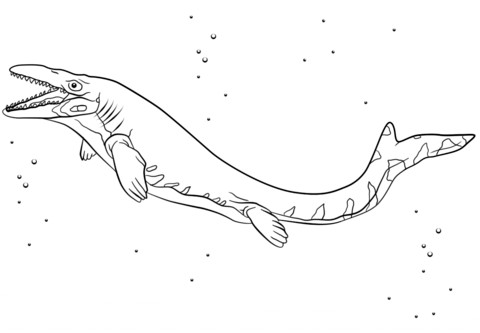 Coloriage Jurassic World Mosasaurus Mosasaurs Coloriage Jurassic World Mosasaurus Mosasaurs
