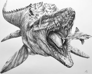 Coloriage Jurassic World Mosasaurus Mosasaurus 50x40 Cm Pencil Made In Mission