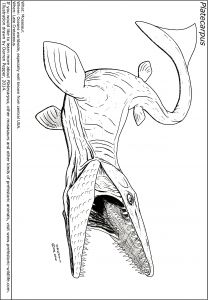 Coloriage Jurassic World Mosasaurus Mosasaurus Jurassic World Coloring Pages Sketch Coloring Page