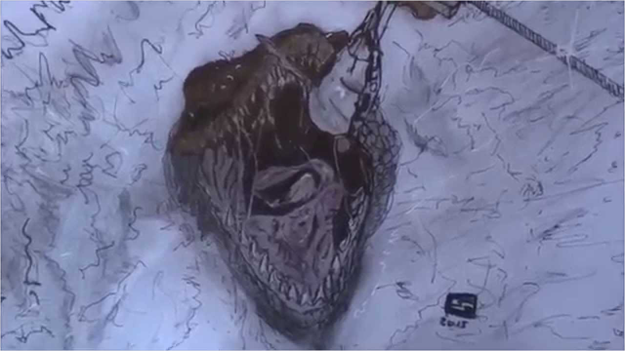 Coloriage Jurassic World Mosasaurus Speed Drawing Jurassic World Mosasaurus Coloriage Jurassic World Mosasaurus Speed Drawing Jurassic World Mosasaurus