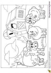 Coloriage La Ferme A Imprimer Gratuit Les 274 Meilleures Images De Coloriages Animaux De La Ferme
