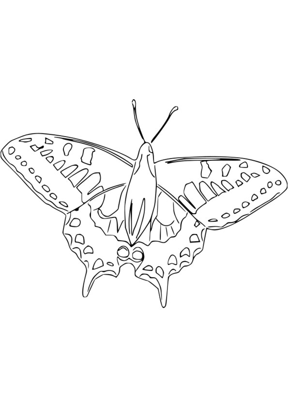 Coloriage La Nature Au Printemps Coloriage La Nature Au Printemps