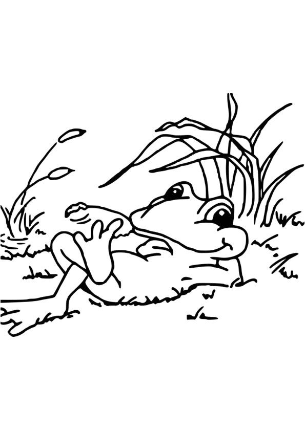 Coloriage La Nature Au Printemps Dessin La Nature Au Printemps