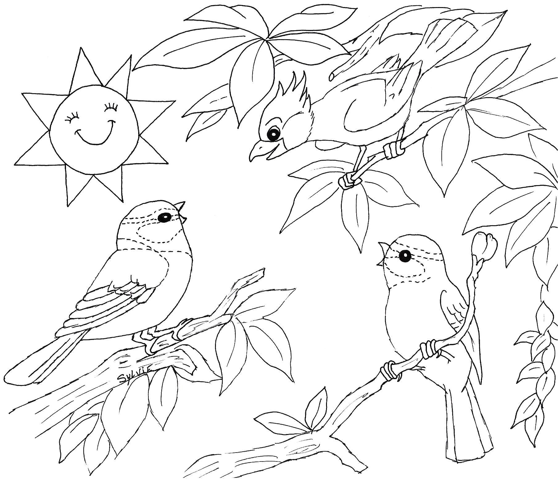 Coloriage La Nature Au Printemps Pin Coloriage Paysage Printemps A Imprimer Gratuit On