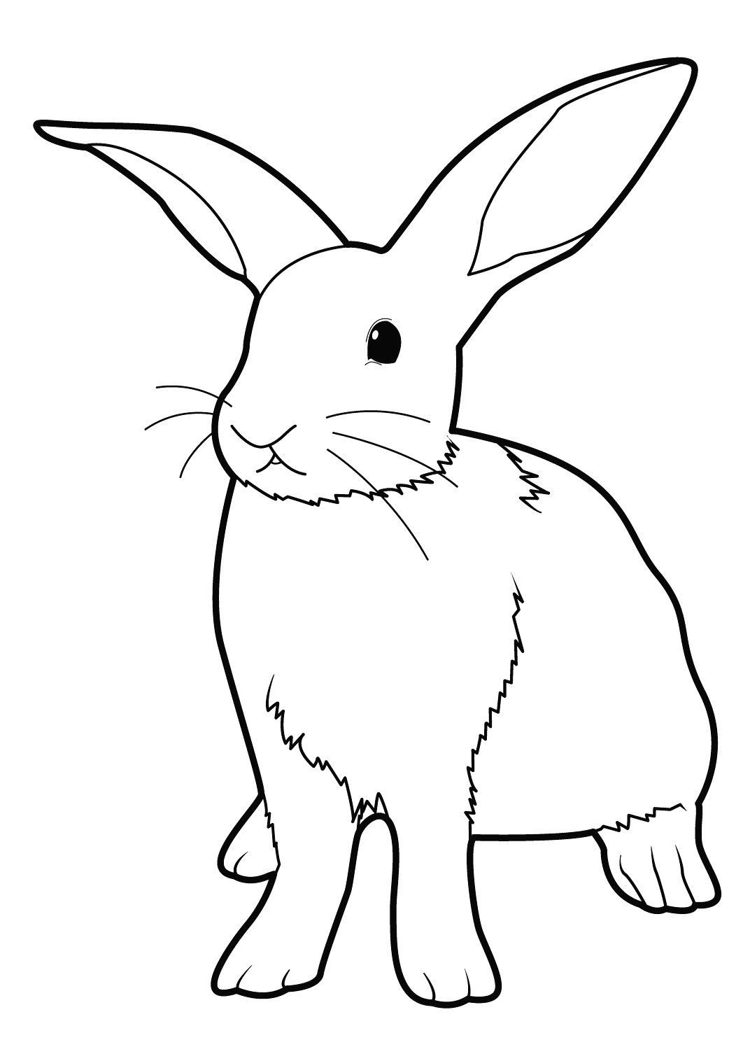 Coloriage Lapins à Imprimer Apprendre Dessiner Un Lapin