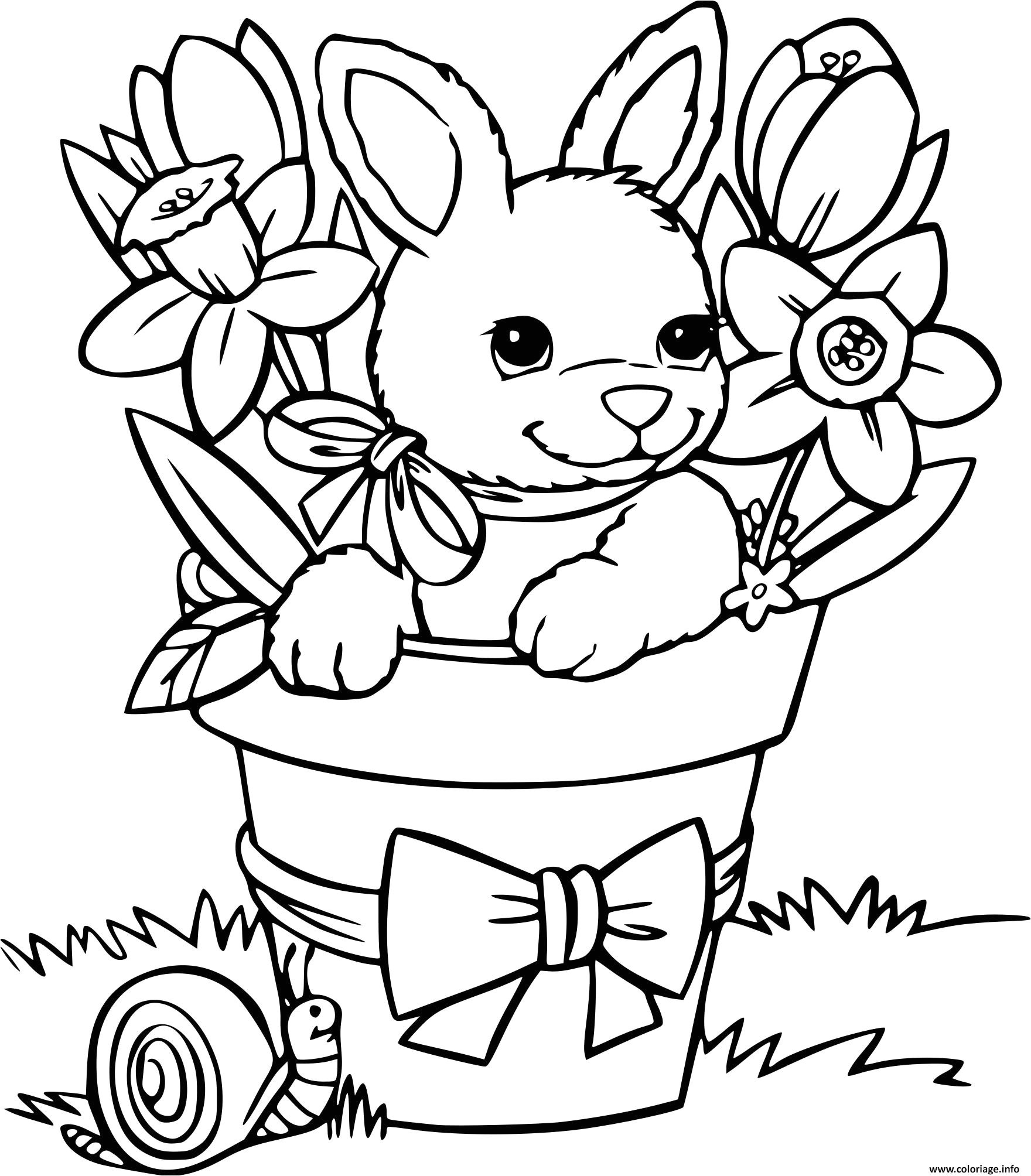 Coloriage Lapins à Imprimer Coloriage Lapin Avec Un Escargot Jecolorie