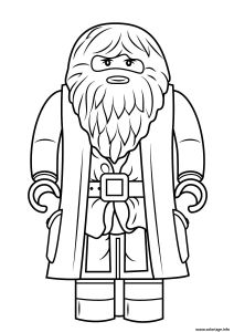 Coloriage Lego Harry Potter A Imprimer Coloriage Lego Rubeus Hagrid Minifigure Harry Potter