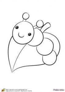 Coloriage Les Petites Betes 154 Meilleures Images Du Tableau Coloriage De Papillons Et