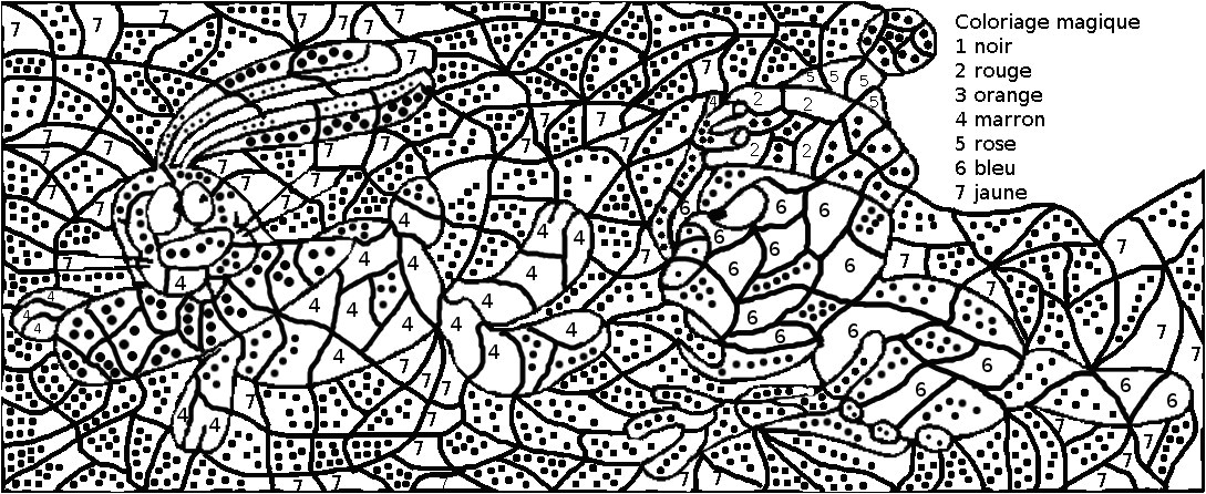 Coloriage Magique Adulte Gratuit Coloriage Avec Numero Pour Adulte A Imprimer Dessins
