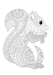 Coloriage Mandala Anti Stress Animaux Coloriage à Imprimer D Animaux L écureuil