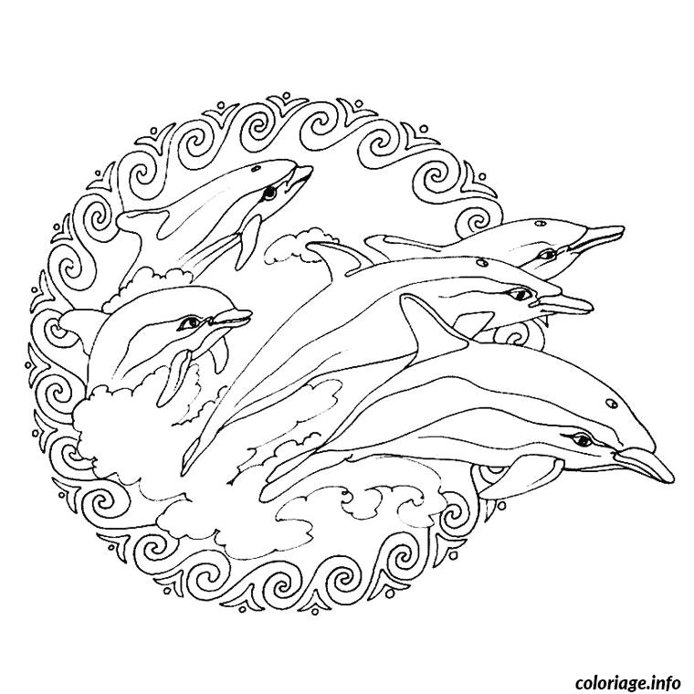 Coloriage Mandala De Dauphin Idees De Fait Main Dessin Mandala A Imprimer