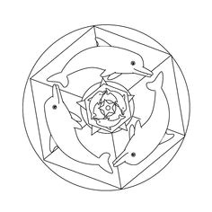 Coloriage Mandala De Dauphin Les 251 Meilleures Images De Dauphin Brico