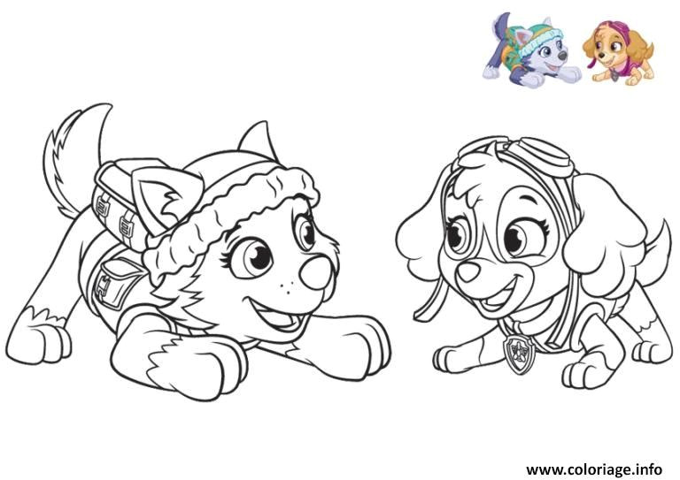 Coloriage Marcus Pat Patrouille Coloriage Pat Patrouille Everest Joue Avec Stella Dessin  