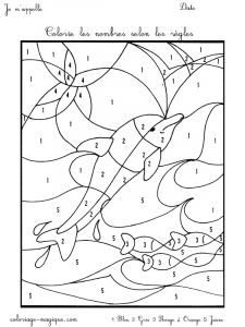 Coloriage Numéro à Imprimer Nos Jeux De Coloriage Dauphin à Imprimer Gratuit Page 11