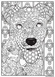 Coloriage Numero Adulte A Imprimer Coloriage Numéroté Adulte À Imprimer Vvivante with