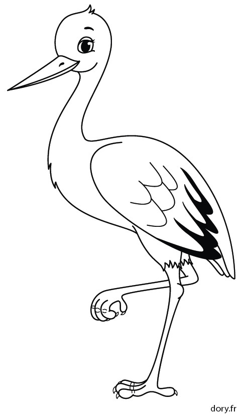 Coloriage Oiseaux A Imprimer Gratuit Dessin   Colorier Une Cigogne Projet Art