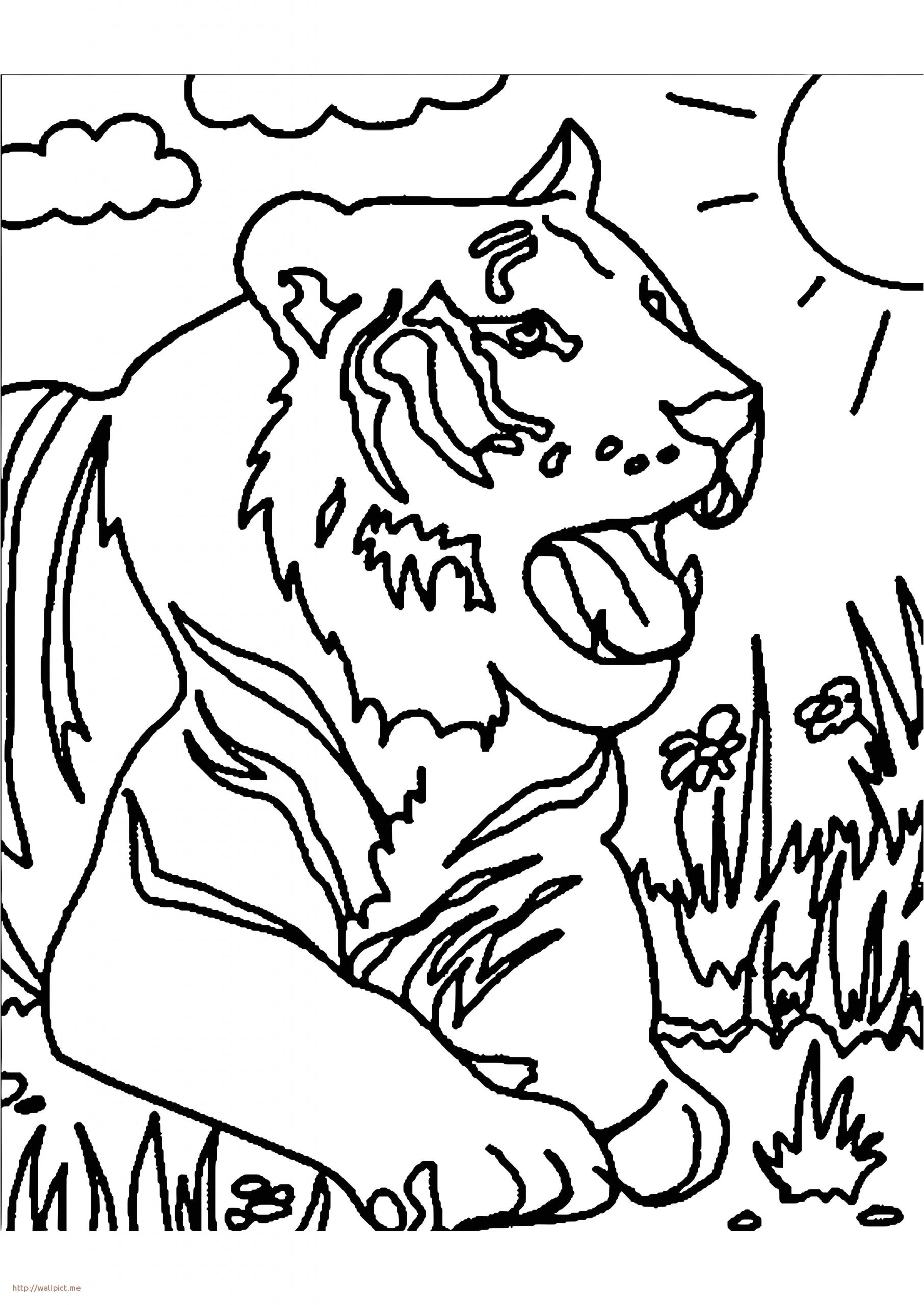 Coloriage Oiseaux A Imprimer Gratuit Luxury Coloriage Oiseaux  Imprimer