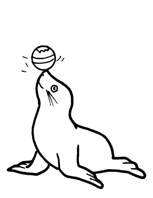 Coloriage Otarie à Imprimer Coloriage Phoque à Imprimer Gratuitement
