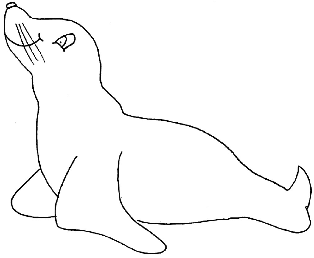 Coloriage Otarie à Imprimer Nos Jeux De Coloriage Phoque à Imprimer Gratuit