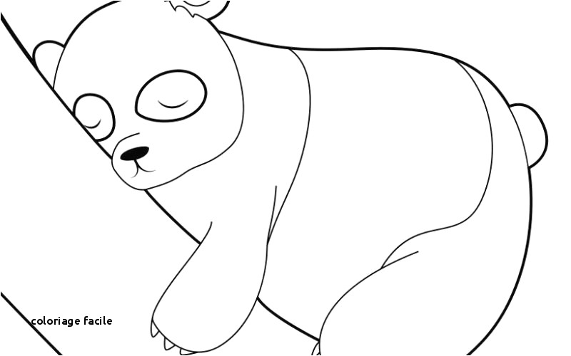 Coloriage Pat Patrouille Anniversaire Dessin D Un Lapin Facile