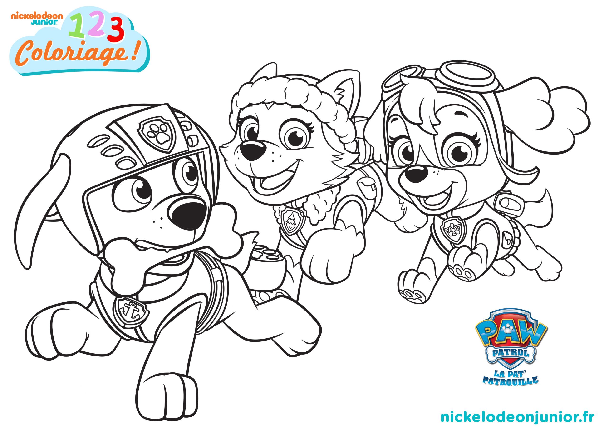 Coloriage Paw Patrol A Imprimer Coloriage Paw Patrol