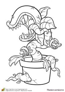 Coloriage Plante Vs Zombie Coloriage D’une Grosse Plante Carnivore