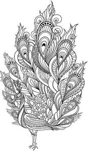 Coloriage Plume De Paon Coloriage Zen