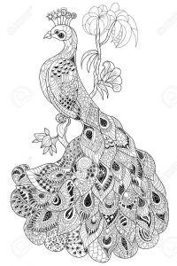 Coloriage Plume De Paon Coloring Doodles Fashion Illustration Buscar Con Google