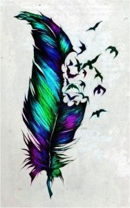 Coloriage Plume De Paon Watercolor Feather Tattoo Bing